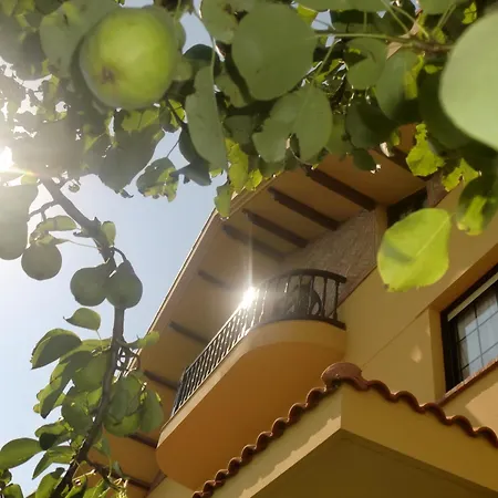 Garzas Guest house *