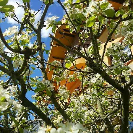 Πανσιόν Garzas 3*