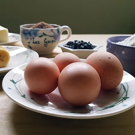 Gæstehus Garzas Santoña