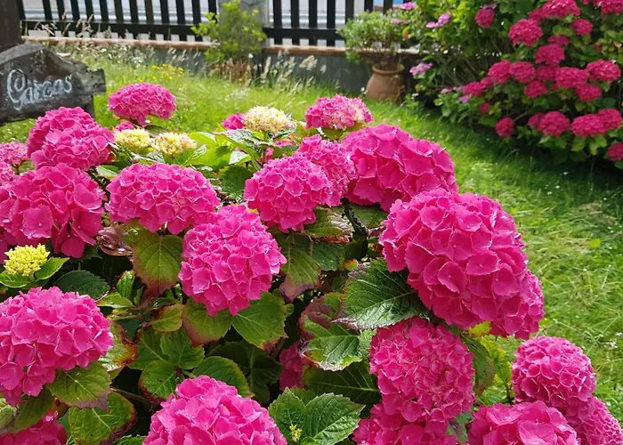 בית הארחה Garzas 3*