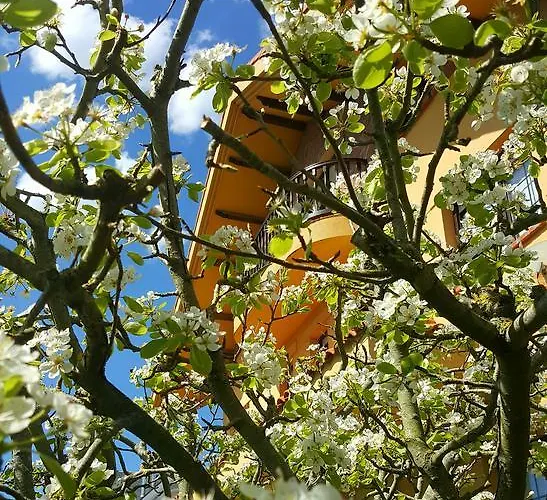 בית הארחה Garzas 3*