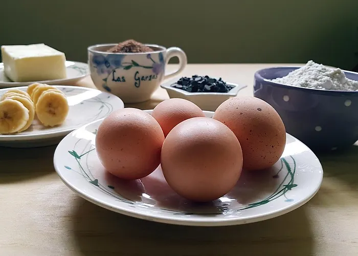 Πανσιόν Garzas Santoña